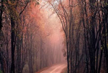 巅峰国际官网：[CBA]CBA月度最佳国际球员——琼斯.