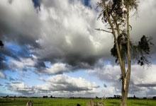 巅峰国际官网：高清：欧冠皇马6-4马竞进8强 小蜘蛛罚点滑倒.